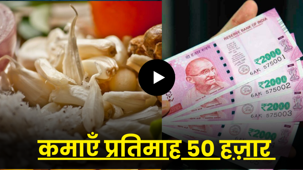 सिर्फ 500 रुपये लगाकर हर महीने कमाए 50 हज़ार, ऐसे करें बिज़नस की शुरुआत 2 ginger-garlic-paste-business-ideas-plan-hindi