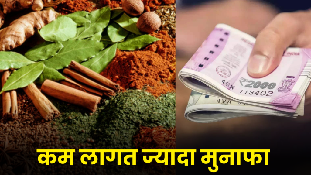 मसाले की बिजनेस आपको बनाएगी लखपति होगी बंपर कमाई, जानें सटीक तरीका 2 masala spices business idea hindi full details