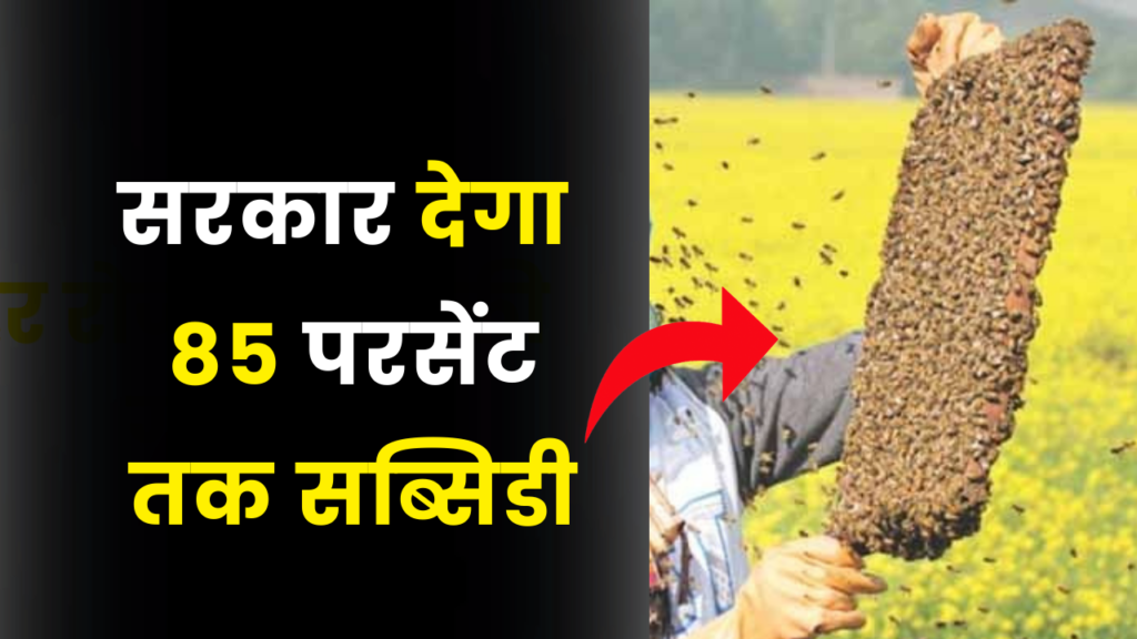 आज ही शुरु करें यह बिजनेस, केंद्र सरकार से मिलेगी 85 परसेंट तक सब्सिडी 2 Bee keeping business idea