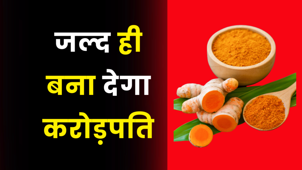 यह बिजनेस आपको जल्द ही बना देगा करोड़पति, जानिए कैसे करें शुरू 2 Black Turmeric Farming Business idea earn crores