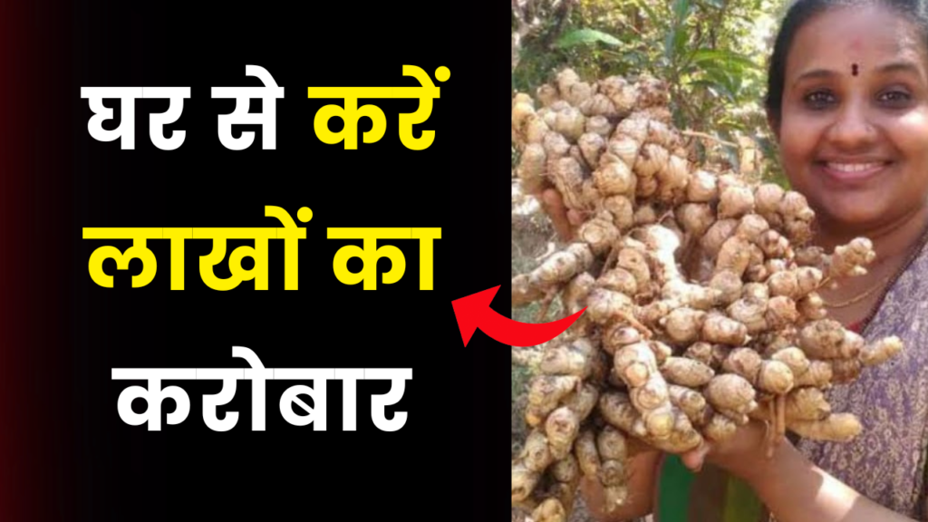 नौकरी छोड़ आज ही शुरू करें ये बिजनेस! सालाना कमाई 15 लाख से ज्यादा 2 ginger farming business idea earn 15 lakh yearly