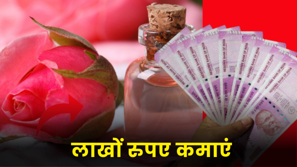 गुलाब जल बिजनेस शुरू करके कमाऐ लाखों रुपए, जानें कैसे? 2 rose water business idea earn money in lakh