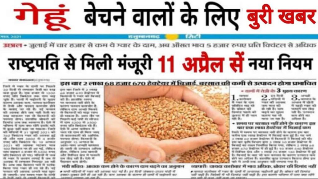 Wheat New Rate Update: किसानों को लगा बड़ा झटका! समर्थन मूल्य में गेहूं अब नहीं खरीदेगी सरकार 2 Wheat Rate mandi bhaw 1